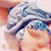 ヒメ日記 2025/08/09 14:44 投稿 ちえ 桃李（とうり）