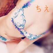 ヒメ日記 2025/08/22 16:34 投稿 ちえ 桃李（とうり）