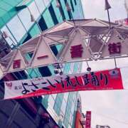 ヒメ日記 2025/10/12 16:01 投稿 ちえ 桃李（とうり）