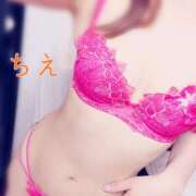 ヒメ日記 2025/11/09 16:14 投稿 ちえ 桃李（とうり）