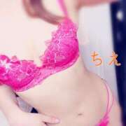 ヒメ日記 2025/11/25 18:17 投稿 ちえ 桃李（とうり）