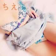 ヒメ日記 2025/11/27 16:34 投稿 ちえ 桃李（とうり）