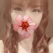 ヒメ日記 2026/01/30 13:01 投稿 美月　みお ドMな奥様 すすきの店