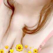 ヒメ日記 2025/02/26 09:36 投稿 まこ 茨城龍ヶ崎取手ちゃんこ