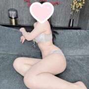 ヒメ日記 2025/06/07 09:42 投稿 ひなた ホワイトベル