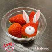 ヒメ日記 2025/03/13 02:01 投稿 やしろ 熟女の風俗最終章 新宿店