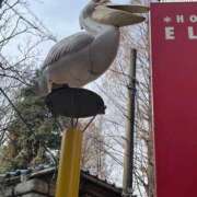 ヒメ日記 2026/02/14 14:32 投稿 やしろ 熟女の風俗最終章 新宿店