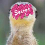 ヒメ日記 2025/07/16 14:07 投稿 さら 千葉 魅惑の人妻