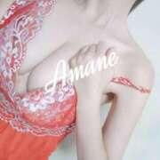 ヒメ日記 2024/12/11 18:16 投稿 アマネ OPELA（オペラ）