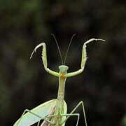 ヒメ日記 2025/08/22 11:11 投稿 みひろちゃん ちょい！ぽちゃロリ倶楽部Hip's馬橋店