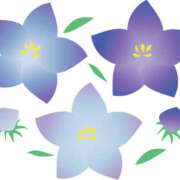 ヒメ日記 2025/09/10 14:31 投稿 みひろちゃん ちょい！ぽちゃロリ倶楽部Hip's馬橋店