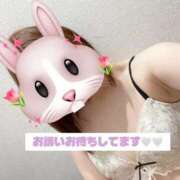 ヒメ日記 2025/11/10 08:42 投稿 ここあ clubさくら京橋店