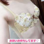 ここあ ここあ（clubさくら京橋店） clubさくら京橋店