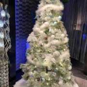 ヒメ日記 2024/12/26 09:50 投稿 相葉（あいば） 熟女の風俗最終章 大宮店