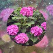 ヒメ日記 2025/06/15 09:05 投稿 相葉（あいば） 熟女の風俗最終章 大宮店