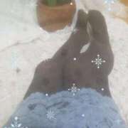 ヒメ日記 2024/12/12 13:01 投稿 ちひろ 大宮おかあさん