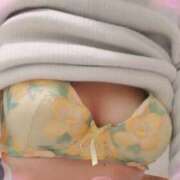 ヒメ日記 2025/03/11 12:51 投稿 ちひろ 大宮おかあさん