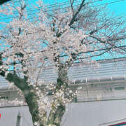 ヒメ日記 2025/04/08 09:51 投稿 ゆい バッドカンパニー水戸