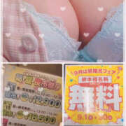 ヒメ日記 2025/08/16 08:28 投稿 ゆい バッドカンパニー水戸