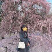 ヒメ日記 2026/03/08 21:24 投稿 のの『プレミアキャスト』 CANDY