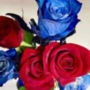 ヒメ日記 2025/01/30 00:14 投稿 ひかる『プレミアキャスト』 CANDY