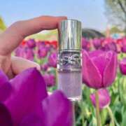 ヒメ日記 2025/04/20 22:44 投稿 ひかる『プレミアキャスト』 CANDY