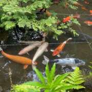 ヒメ日記 2025/06/15 22:44 投稿 ひかる『プレミアキャスト』 CANDY