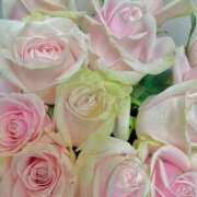 ヒメ日記 2025/12/03 23:34 投稿 ひかる『プレミアキャスト』 CANDY