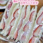 ヒメ日記 2026/02/12 20:24 投稿 ひかる『プレミアキャスト』 CANDY