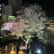 ヒメ日記 2025/04/12 08:54 投稿 みさき『プレミアキャスト』 CANDY