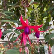 ヒメ日記 2026/02/14 15:44 投稿 みさき『プレミアキャスト』 CANDY