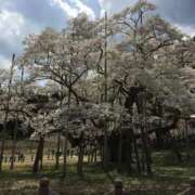 ヒメ日記 2026/04/23 17:14 投稿 みさき『プレミアキャスト』 CANDY