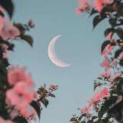 ヒメ日記 2025/10/29 17:03 投稿 みな ミルクハート（ユメオト）