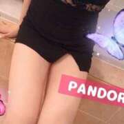 ヒメ日記 2025/08/15 22:15 投稿 宮内 パンドラ（吉原）