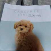 ヒメ日記 2025/01/04 10:28 投稿 山岡乃里子 五十路マダム静岡店（カサブランカG）