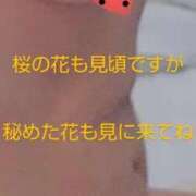 ヒメ日記 2025/03/30 10:26 投稿 すず 妻天 京橋店