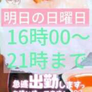 ヒメ日記 2024/07/13 16:09 投稿 しおん 茨城水戸ちゃんこ