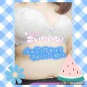 ヒメ日記 2025/07/26 11:55 投稿 しおん 茨城水戸ちゃんこ