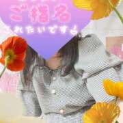 ヒメ日記 2025/07/28 12:25 投稿 しおん 茨城水戸ちゃんこ