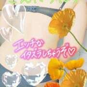 ヒメ日記 2025/07/29 12:10 投稿 しおん 茨城水戸ちゃんこ