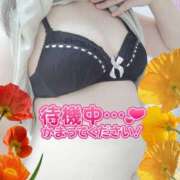 ヒメ日記 2025/07/29 21:55 投稿 しおん 茨城水戸ちゃんこ