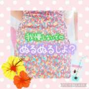 ヒメ日記 2025/08/08 14:32 投稿 しおん 茨城水戸ちゃんこ