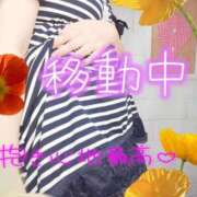 ヒメ日記 2025/08/11 11:05 投稿 しおん 茨城水戸ちゃんこ