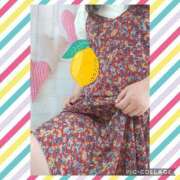 ヒメ日記 2025/08/20 12:18 投稿 しおん 茨城水戸ちゃんこ