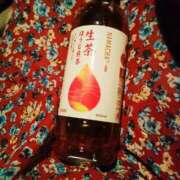 ヒメ日記 2025/08/20 20:35 投稿 しおん 茨城水戸ちゃんこ