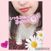 ヒメ日記 2025/08/20 22:21 投稿 しおん 茨城水戸ちゃんこ