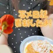 ヒメ日記 2025/08/21 00:05 投稿 しおん 茨城水戸ちゃんこ