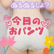 ヒメ日記 2025/08/23 11:05 投稿 しおん 茨城水戸ちゃんこ