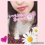 ヒメ日記 2025/08/30 08:35 投稿 しおん 茨城水戸ちゃんこ