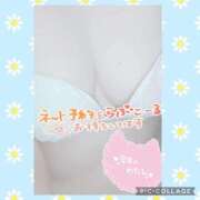 ヒメ日記 2025/08/31 12:45 投稿 しおん 茨城水戸ちゃんこ